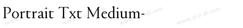 Portrait Txt Medium字体转换